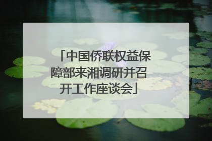 中国侨联权益保障部来湘调研并召开工作座谈会