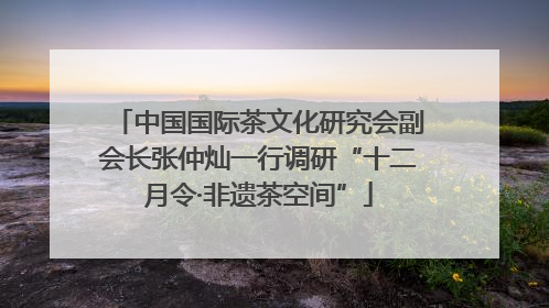 中国国际茶文化研究会副会长张仲灿一行调研“十二月令·非遗茶空间”