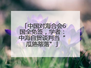 中国对海合会6国全免签，学者：中海自贸谈判当“瓜熟蒂落”