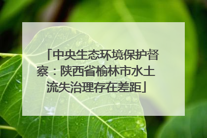 中央生态环境保护督察：陕西省榆林市水土流失治理存在差距