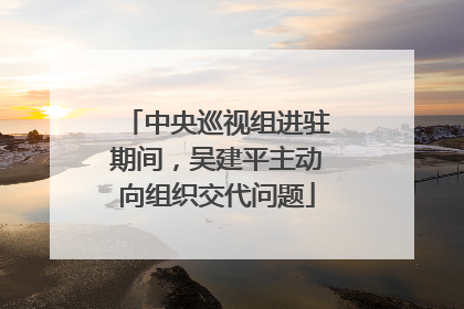 中央巡视组进驻期间，吴建平主动向组织交代问题