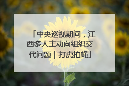 中央巡视期间，江西多人主动向组织交代问题｜打虎拍蝇