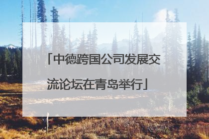 中德跨国公司发展交流论坛在青岛举行