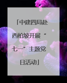 中建四局赴西柏坡开展“七一”主题党日活动