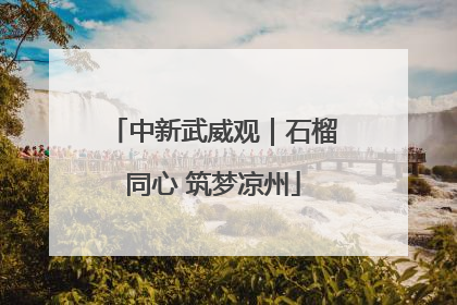 中新武威观｜石榴同心 筑梦凉州