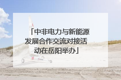 中非电力与新能源发展合作交流对接活动在岳阳举办