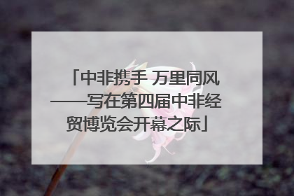 中非携手 万里同风——写在第四届中非经贸博览会开幕之际