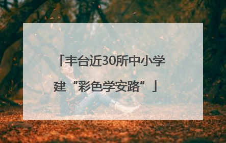丰台近30所中小学建“彩色学安路”