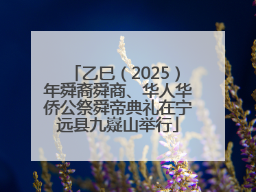 乙巳（2025）年舜裔舜商、华人华侨公祭舜帝典礼在宁远县九嶷山举行