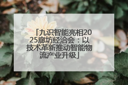 九识智能亮相2025廊坊经洽会：以技术革新推动智能物流产业升级