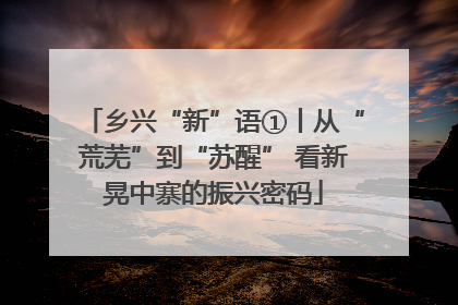 乡兴“新”语①丨从“荒芜”到“苏醒” 看新晃中寨的振兴密码
