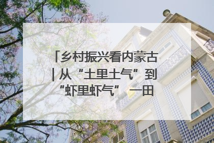 乡村振兴看内蒙古｜从“土里土气”到“虾里虾气” 一田双收模式火出圈