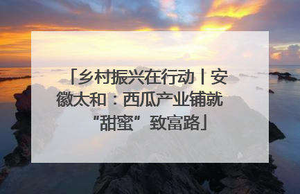 乡村振兴在行动丨安徽太和：西瓜产业铺就“甜蜜”致富路