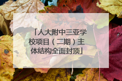 人大附中三亚学校项目（二期）主体结构全面封顶