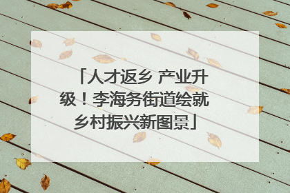 人才返乡 产业升级！李海务街道绘就乡村振兴新图景