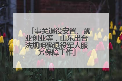 事关退役安置、就业创业等，山东出台法规明确退役军人服务保障工作