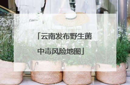 云南发布野生菌中毒风险地图