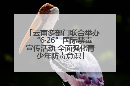 云南多部门联合举办“6·26”国际禁毒宣传活动 全面强化青少年防毒意识