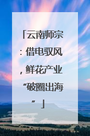 云南师宗：借电驭风，鲜花产业“破圈出海”