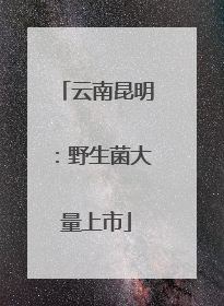 云南昆明：野生菌大量上市