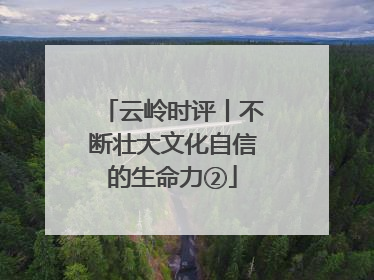 云岭时评丨不断壮大文化自信的生命力②