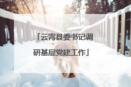 云霄县委书记调研基层党建工作