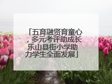 五育融贤育童心，多元考评助成长 乐山县街小学助力学生全面发展