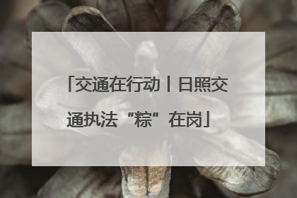 交通在行动丨日照交通执法“粽”在岗