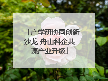 产学研协同创新沙龙 舟山科企共谋产业升级