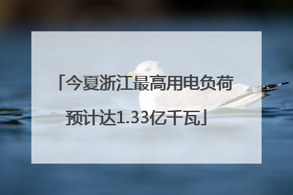 今夏浙江最高用电负荷预计达1.33亿千瓦
