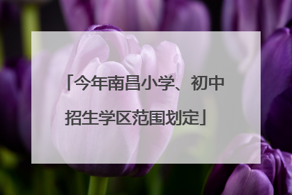 今年南昌小学、初中招生学区范围划定