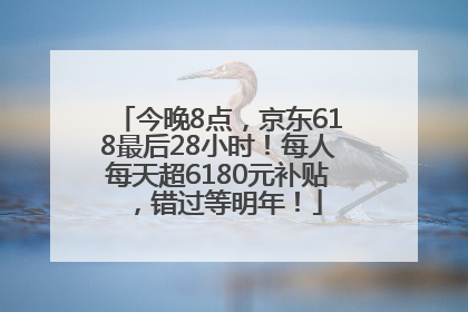 今晚8点，京东618最后28小时！每人每天超6180元补贴，错过等明年！