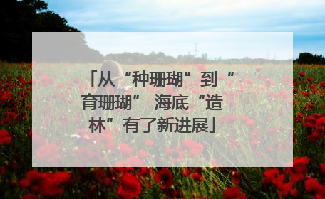 从“种珊瑚”到“育珊瑚” 海底“造林”有了新进展