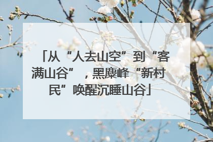 从“人去山空”到“客满山谷”，黑麋峰“新村民”唤醒沉睡山谷