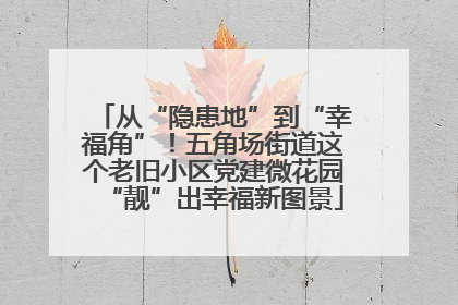 从“隐患地”到“幸福角”！五角场街道这个老旧小区党建微花园“靓”出幸福新图景