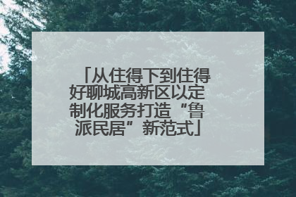 从住得下到住得好聊城高新区以定制化服务打造“鲁派民居”新范式