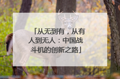 从无到有，从有人到无人：中国战斗机的创新之路