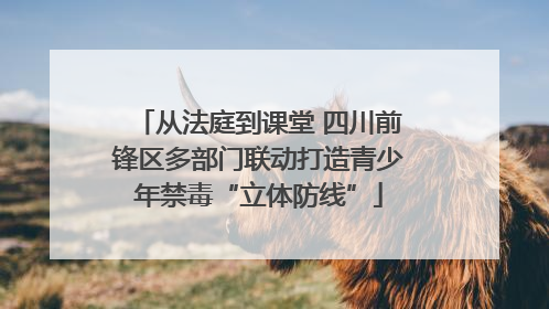 从法庭到课堂 四川前锋区多部门联动打造青少年禁毒“立体防线”
