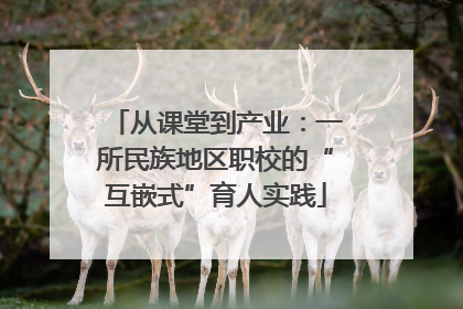 从课堂到产业：一所民族地区职校的“互嵌式”育人实践