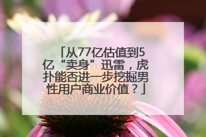 从77亿估值到5亿“卖身”迅雷，虎扑能否进一步挖掘男性用户商业价值？