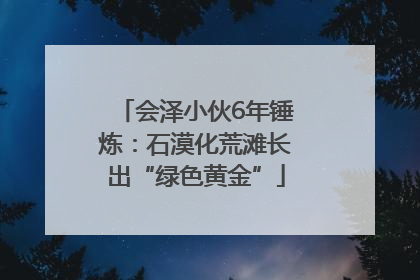 会泽小伙6年锤炼：石漠化荒滩长出“绿色黄金”