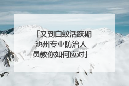 又到白蚁活跃期 池州专业防治人员教你如何应对