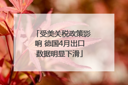 受美关税政策影响 德国4月出口数据明显下滑