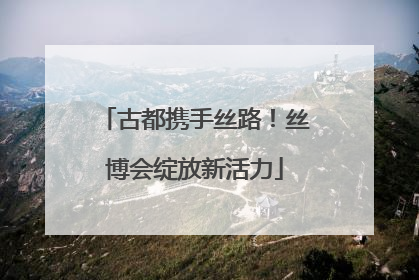 古都携手丝路！丝博会绽放新活力