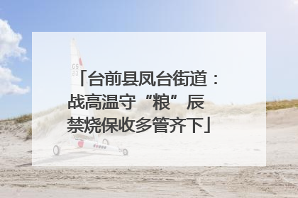 台前县凤台街道：战高温守“粮”辰 禁烧保收多管齐下