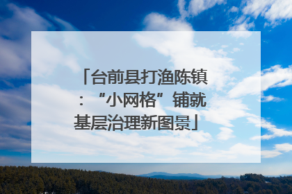 台前县打渔陈镇：“小网格”铺就基层治理新图景