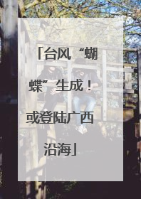 台风“蝴蝶”生成！或登陆广西沿海