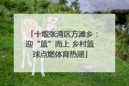 十堰张湾区方滩乡：迎“篮”而上 乡村篮球点燃体育热潮