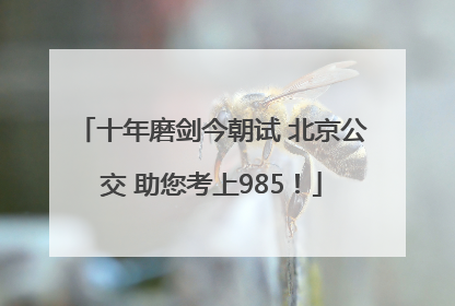十年磨剑今朝试 北京公交 助您考上985！