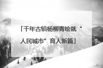 千年古镇杨柳青绘就“人民城市”育人新篇